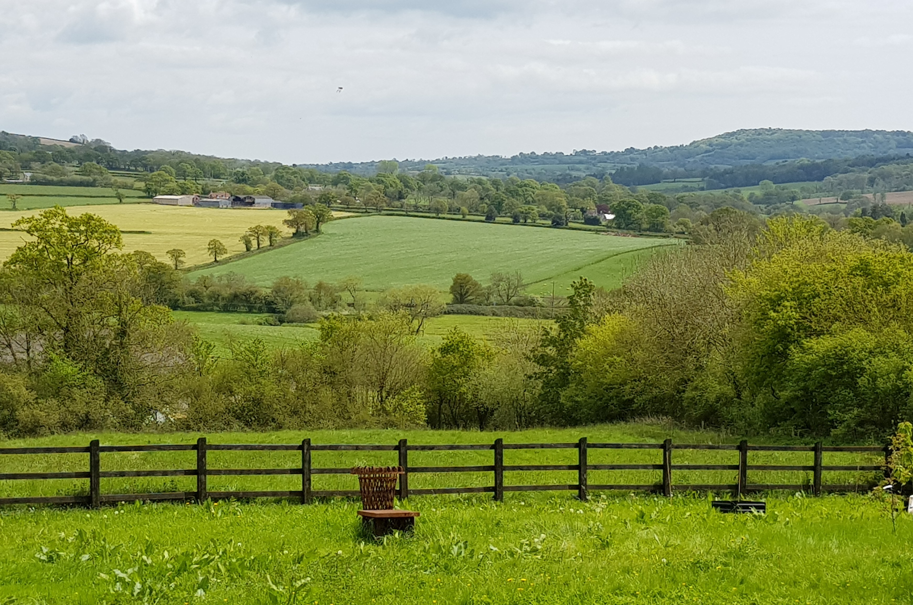 An image of 'Broom With A View', Devon
