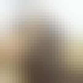 The Watermill The Watermill