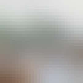 The Grace House: The conservatory overlooks the garden The Grace House: The conservatory overlooks the garden