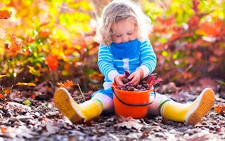 'September Availability 2019' - Holiday Ideas