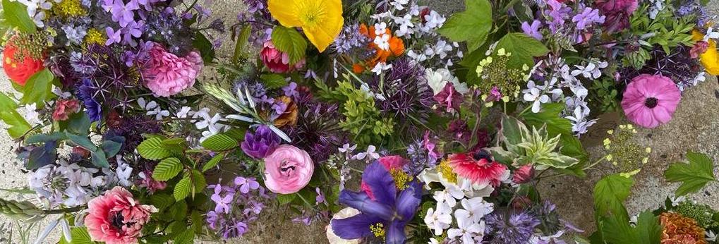 Siskins Nook: Holiday Cottage For 4 With Hot Tub