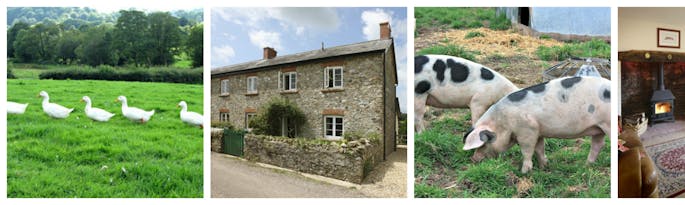 Our smallholding