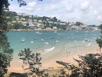 A stunning, sandy beach in Salcombe featuring people having fun on the sand, in the sea or in a wide variety of boats