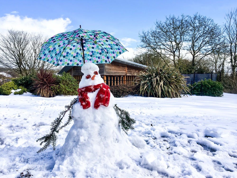 Snowman on TCB's lawn