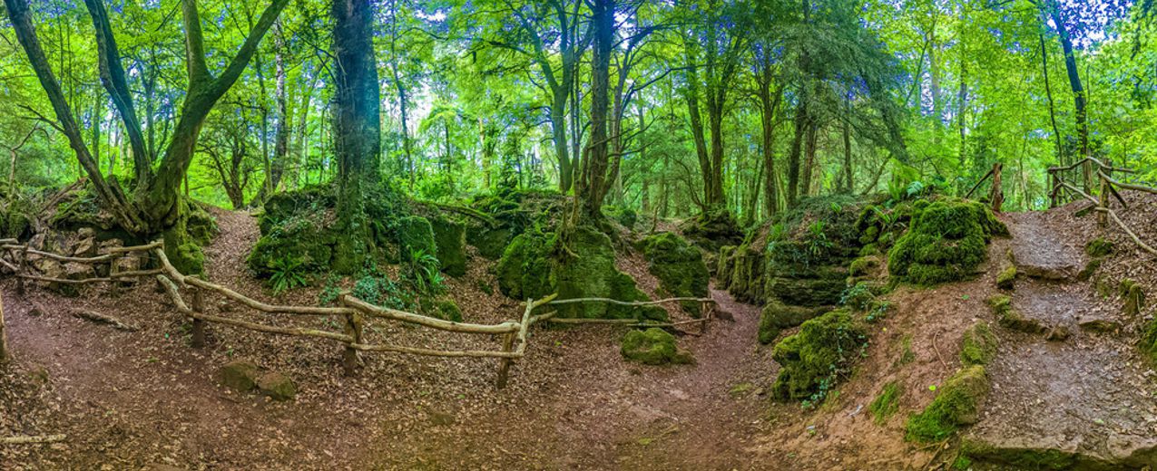 Tired of Overcrowded Hotels and Packed Resorts? The Wye Valley Has the Answer