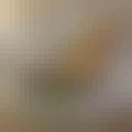 Halfway House Scotch Eggs  Halfway House Scotch Eggs