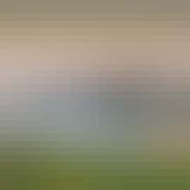 St Catherine's Down sea mist, Isle of Wight St Catherine's Down sea mist, Isle of Wight