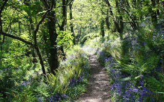 'Spring Break / Easter in North Devon' - Holiday Ideas