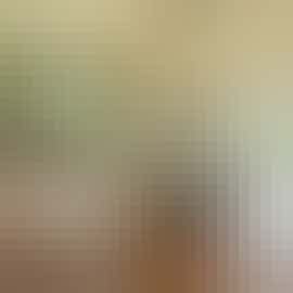 Kennard Hall -  The elegant dining room has views over the beautiful Exe valley Kennard Hall -  The elegant dining room has views over the beautiful Exe valley