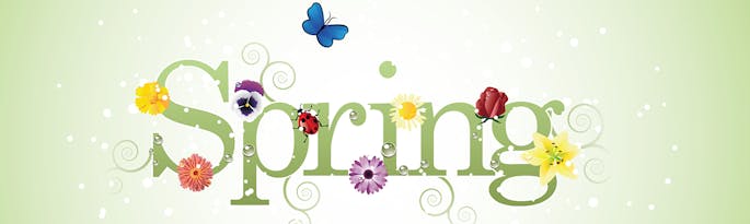 Spring Breaks For Large Groups UK