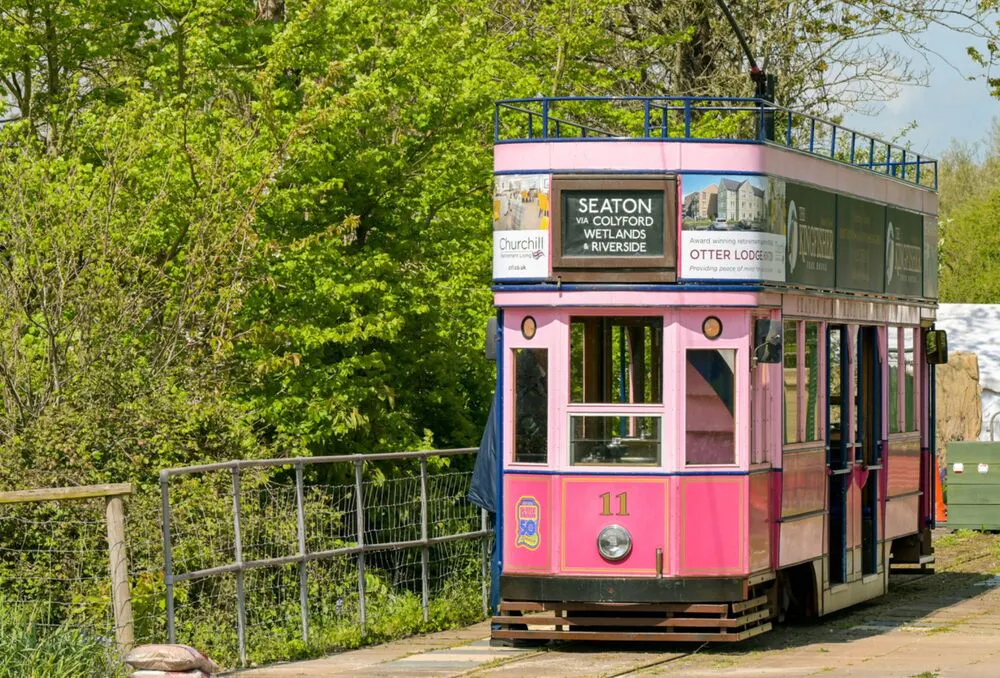 Pink heritage tram at Seaton Tramway, surrounded by green trees.