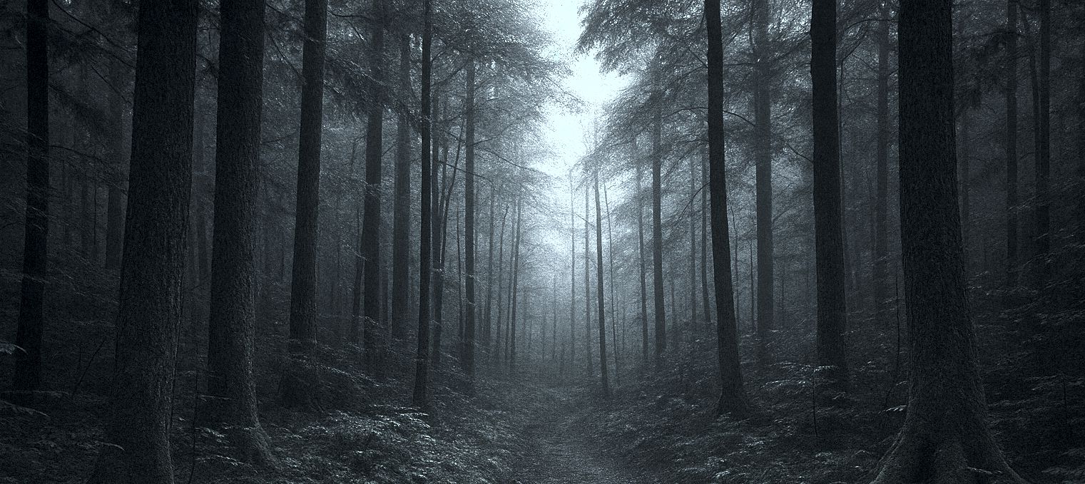 A black and white image of a wood at twilight.
