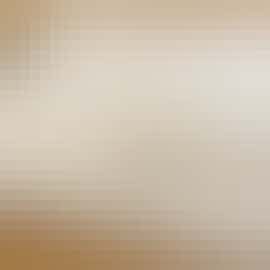 Visitors book Visitors book