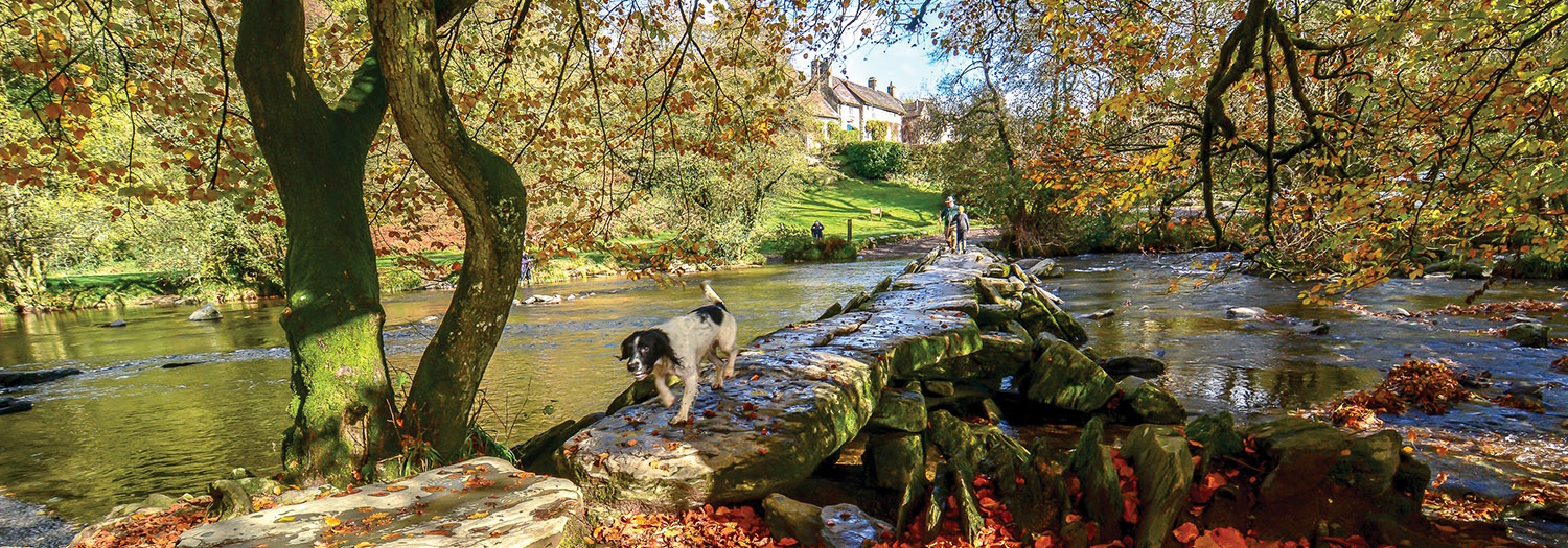 The Best Places for Autumn Colour in Somerset
