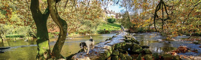 The Best Places for Autumn Colour in Somerset