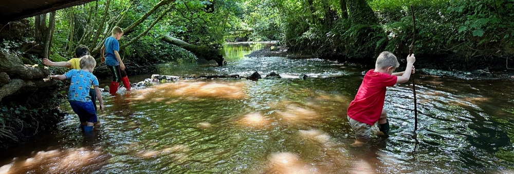Children exploring the River Tone at Lutley Bridge