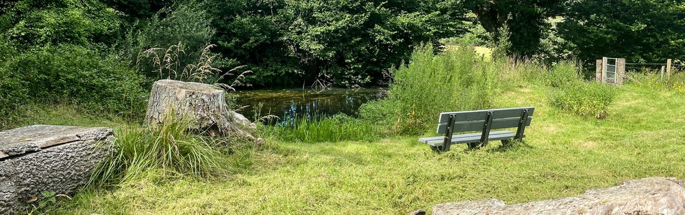 Picnic area around the pond