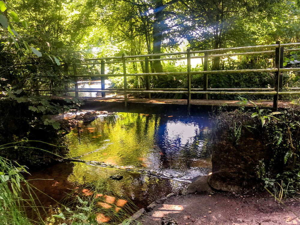 Low water levels on the River Tone