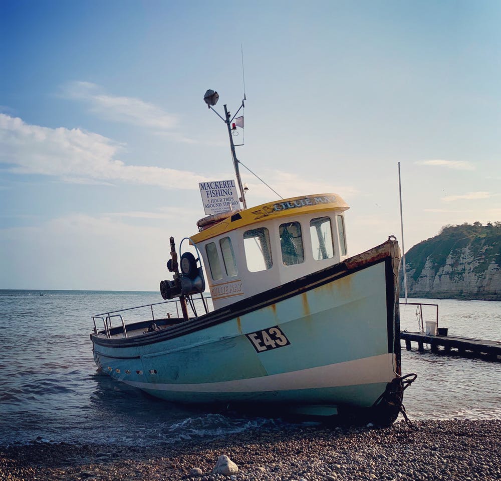 Mackerel fishing trips at Beer