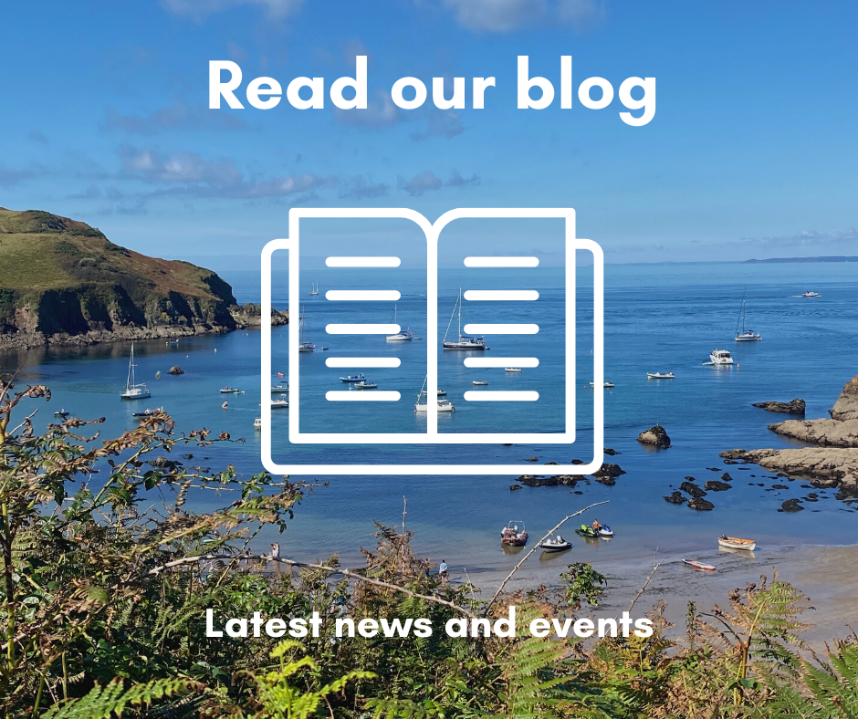 Promotion poster for Salcombe Abode's blog