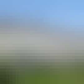 Garden View Apartment Garden View Apartment