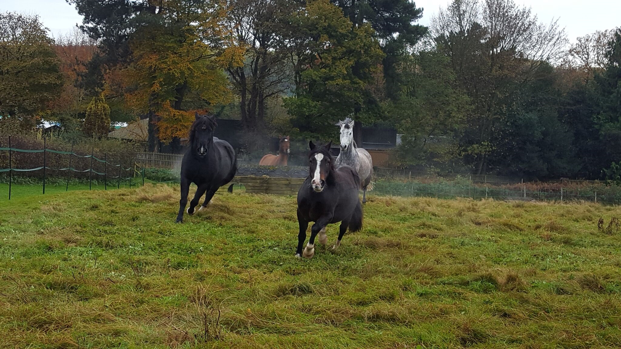 Horse Holidays - Bring your horse with you