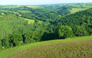 'Rural Country Cottage Holiday in Devon' - Holiday Ideas