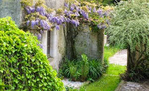 The garden delights at this beautiful 15th century house