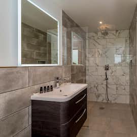 Bathroom 5 - Badger Bathroom 5 - Badger