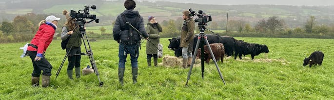 Lights, Camera, Action....