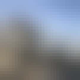 Into the woods  Into the woods