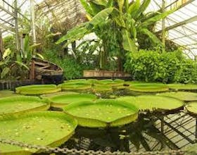 Ventnor Botanical Gardens