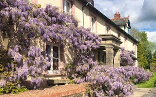 'Large House For Ladies Weekends in Somerset' - Holiday Ideas