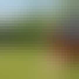 Herons Bank - In the garden there's a cosy Scandi style BBQ lodge for year round use Herons Bank - In the garden there's a cosy Scandi style BBQ lodge for year round use