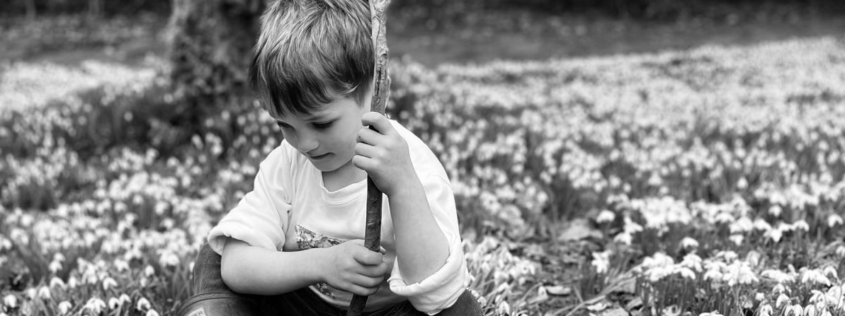 Things To Do In East Devon For February Half Term 2026