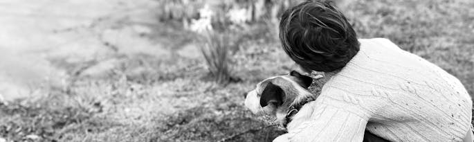 Dog Friendly Cottages Near the Sea