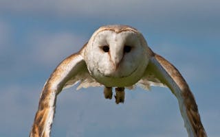 'Lorton Meadows Conservation Centre & Nature Reserve' - Holiday Ideas