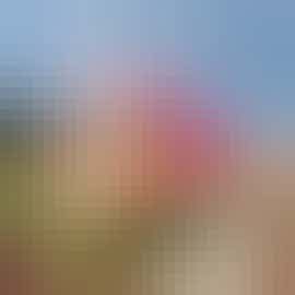 Croftview - Enjoy lazy lunches in the sunshine Croftview - Enjoy lazy lunches in the sunshine