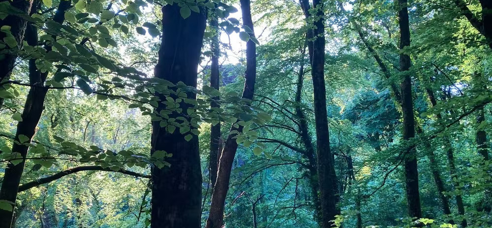 Waterrow Nature Reserve