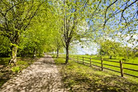 Holemoor Stables: A private leafy avenue takes you to this large group rural retreat