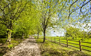 Holemoor Stables: A private leafy avenue takes you to this large group rural retreat