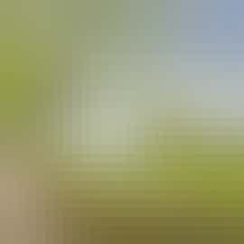 Holemoor Stables: A private leafy avenue takes you to this large group rural retreat Holemoor Stables: A private leafy avenue takes you to this large group rural retreat