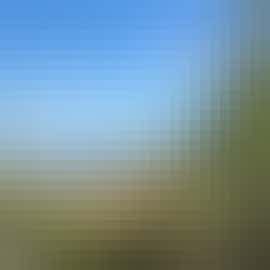 Wisteria Cottage Wisteria Cottage