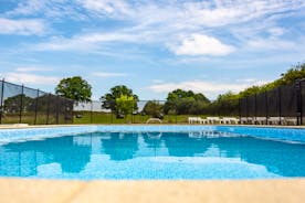 Take a dip in the open air swimming pool at High Cloud Farm with views across open fields www.bhhl.co.uk