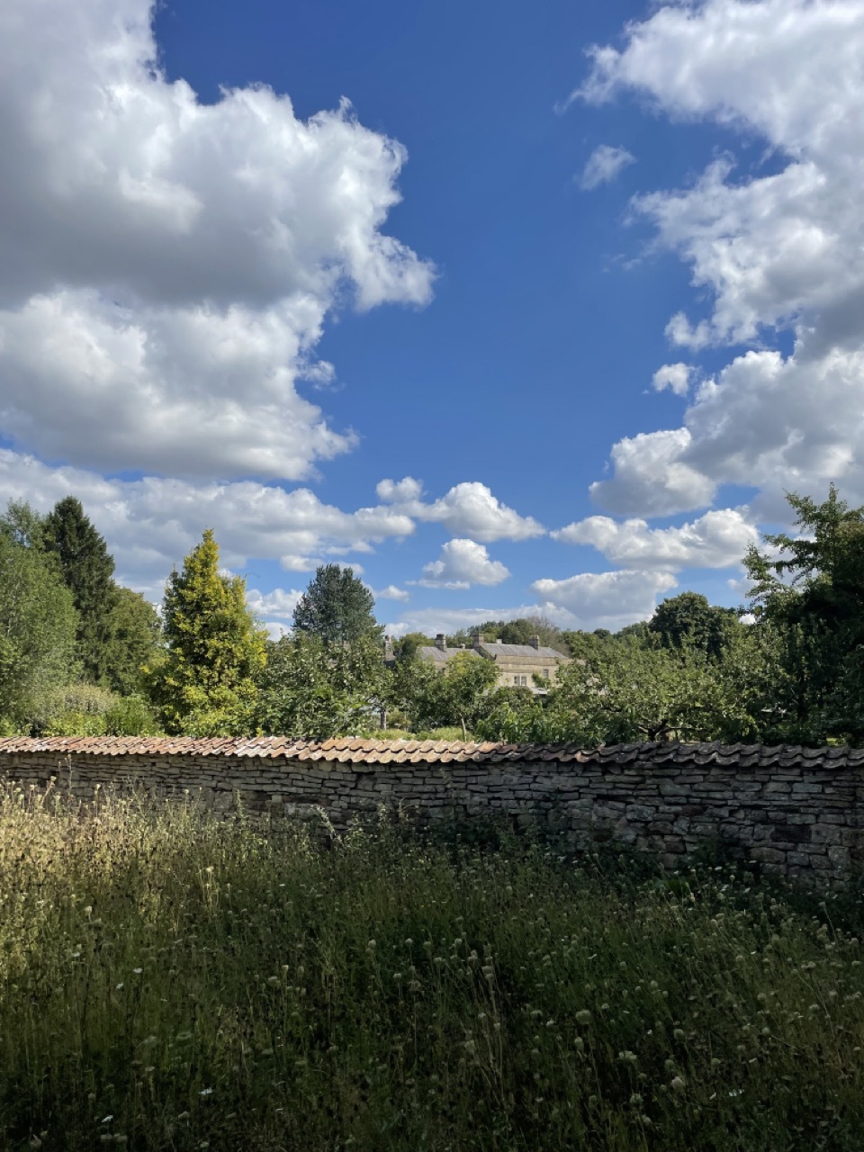 Views at Stonehayes Farm