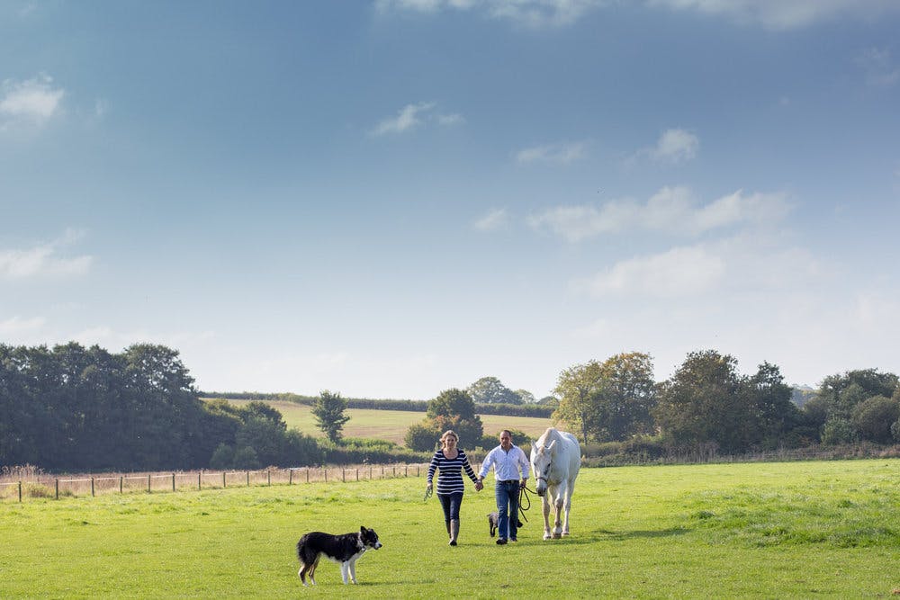 sleeps12-directors-luxury-holiday-accommodation