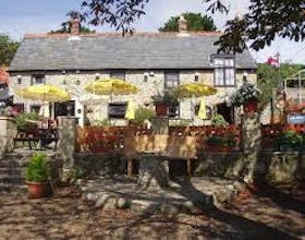 The Buddle Inn