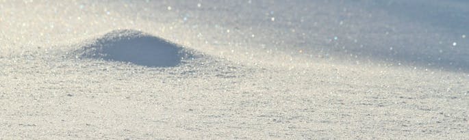 The Office Is Closed