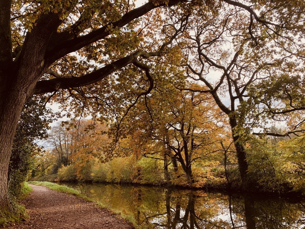 Wintery walks along the river