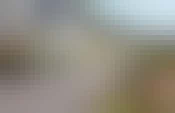 An image of '15 St Elmo Court', Devon